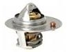 Termostato, refrigerante Thermostat:1305A280