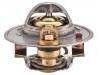 Thermostat:0K01C-15-17Y