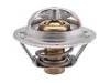 Thermostat:21230-3RC0A
