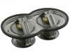 Termostato, refrigerante Thermostat:1 347 594