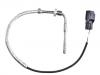 Capteur de T° Temperature Sensor:31293032