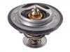 Thermostat:04L 121 113 D