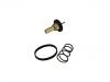 Termostato, refrigerante Thermostat:11 06 009 68R